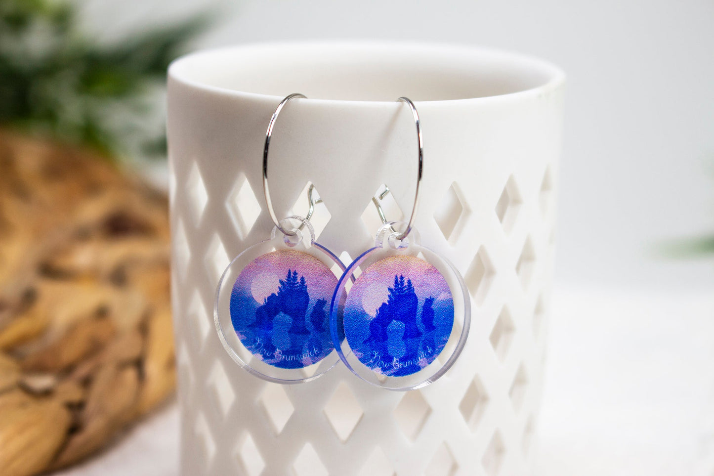 Hopewell Rocks New Brunswick Earrings