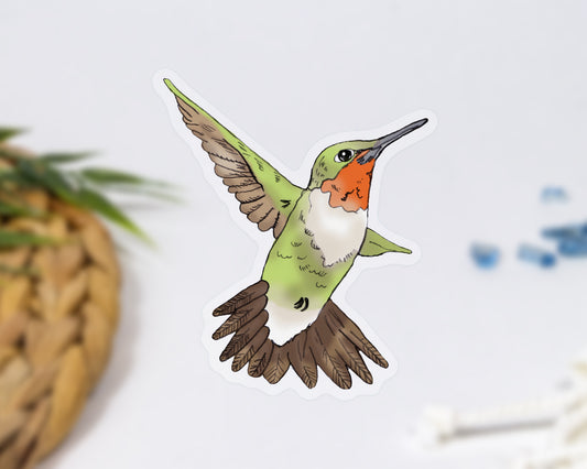 Clear Hummingbird Sticker 2.55" x 3"